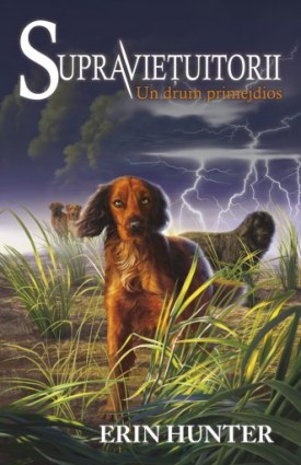 supravietuitorii 4